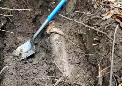 Professional Plumbing Services